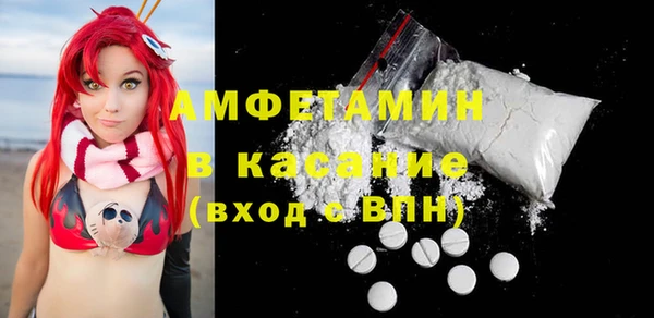 шишки Арсеньев