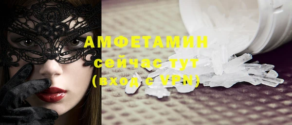 шишки Арсеньев