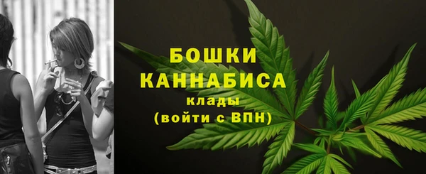 шишки Арсеньев
