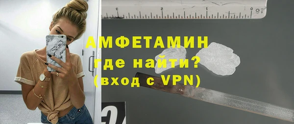 шишки Арсеньев