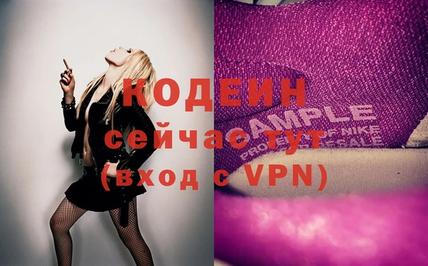 шишки Арсеньев