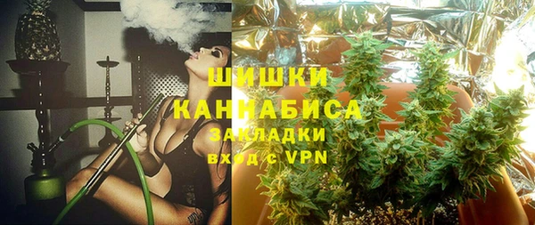 шишки Арсеньев