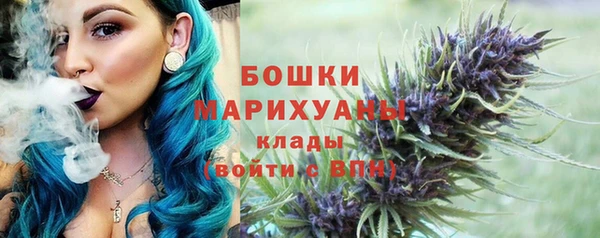 шишки Арсеньев