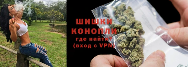 шишки Арсеньев