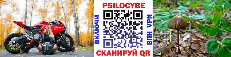 Галлюциногенные грибы мухоморы  купить наркоту  это наркотические препараты  Меленки 
